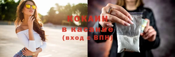 шишки Балахна