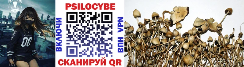 Галлюциногенные грибы мухоморы  KRAKEN ONION  Шарья  сколько стоит 